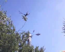 Skydive! wat een kick geeft da!!!