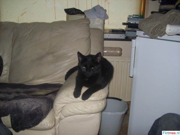 <p>1 van mij 2 lieve beesten Lucifer!!</p>