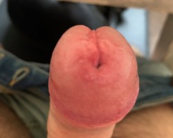 eikel
