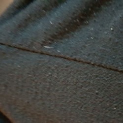Lid