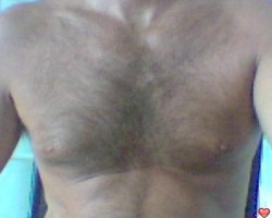 fotoalbum