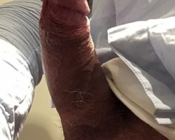 fotoalbum