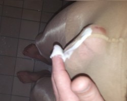 Mmm rokje panty hemels Mmmm