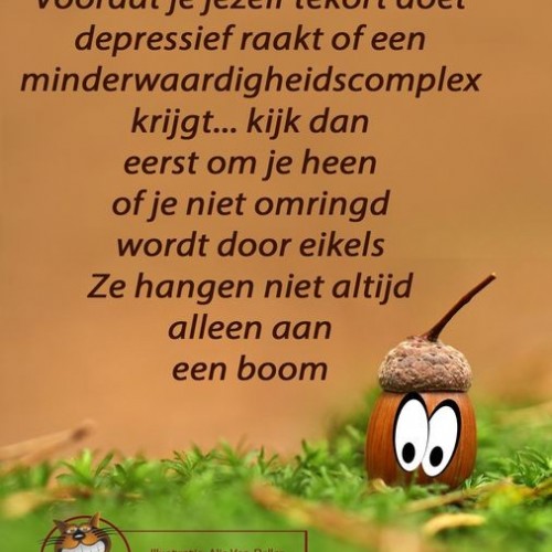 Lid