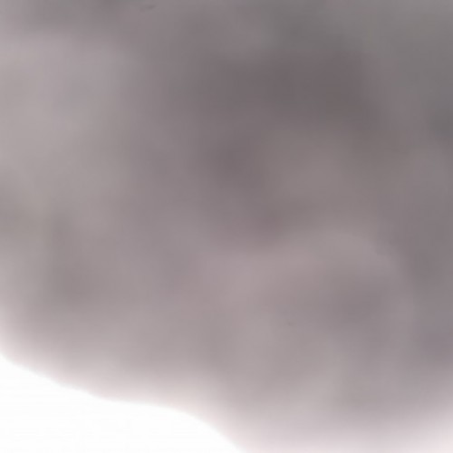 Lid