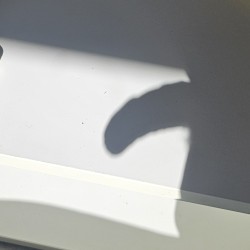 Lid