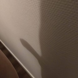 Lid
