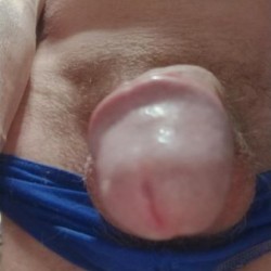 Lid