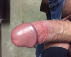 fotoalbum